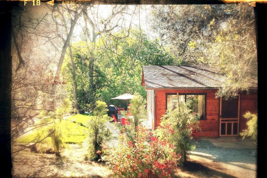 River Retreat Cabin In Three Rivers - Near Snp Villa Exterior photo